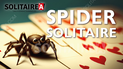 Chơi Spider Solitaire và Thử thách Trí Tuệ Trong khi Thư giãn